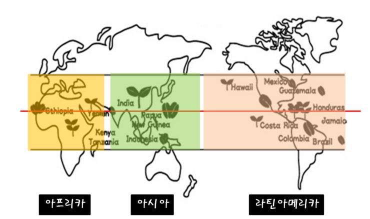 커피벨트 이미지