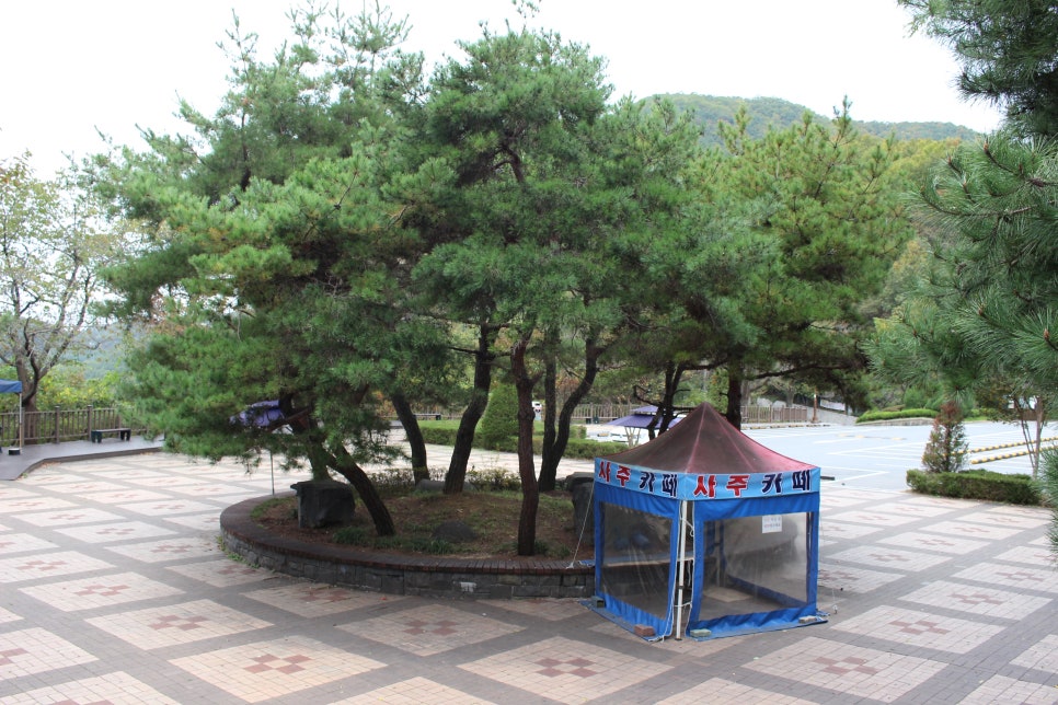 나누리사주 이미지