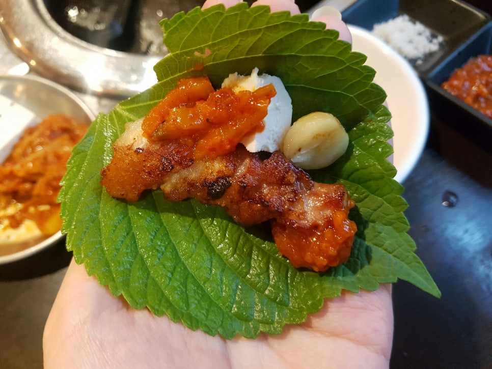 육선생 이미지