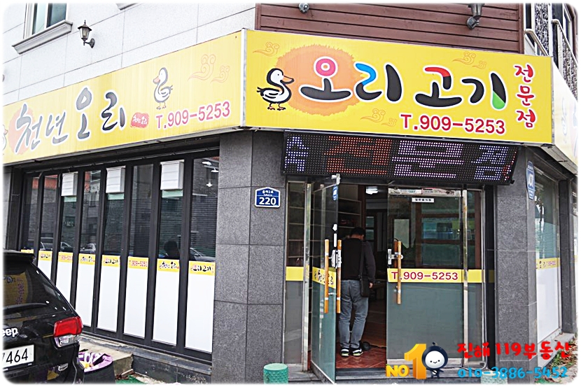 천년오리 이미지