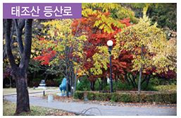 터칭힐 이미지
