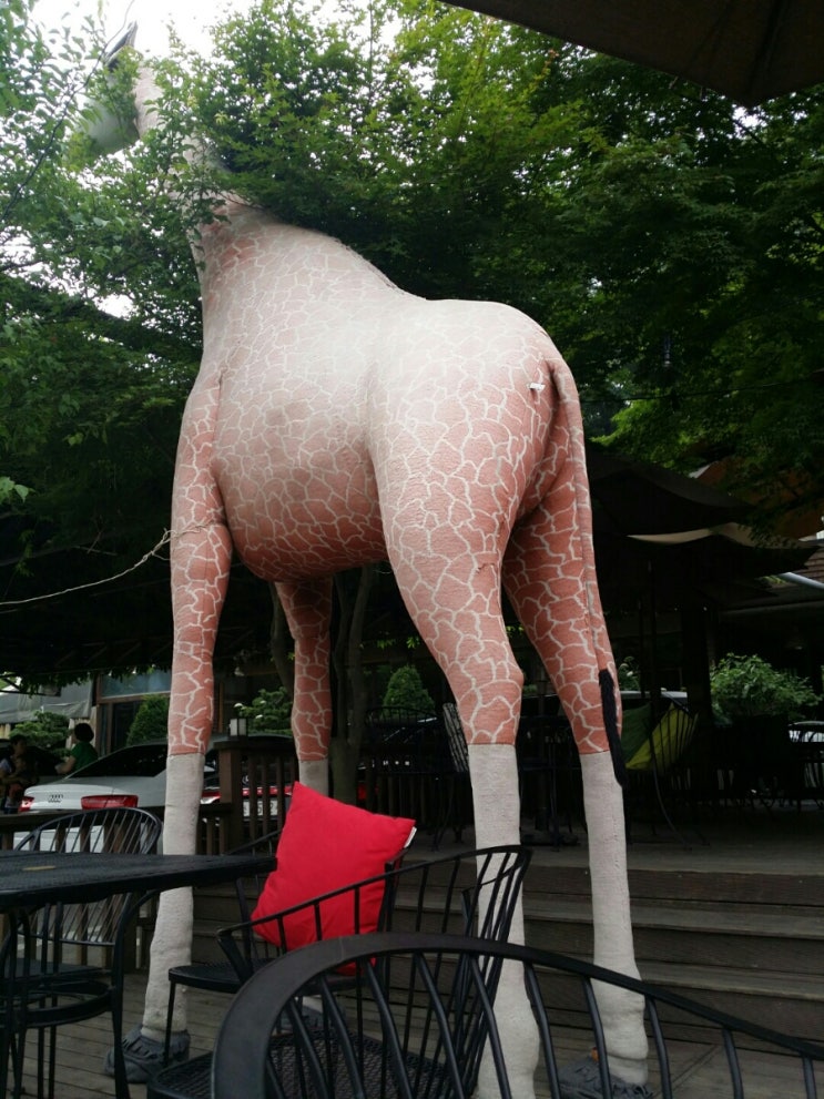 기린카페 이미지