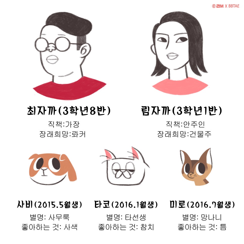타코미 이미지
