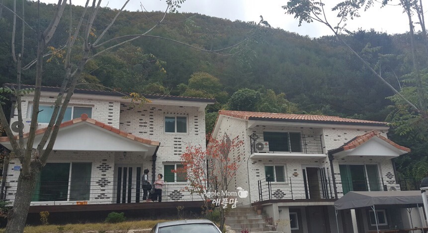 늘푸른펜션캠핑장 이미지