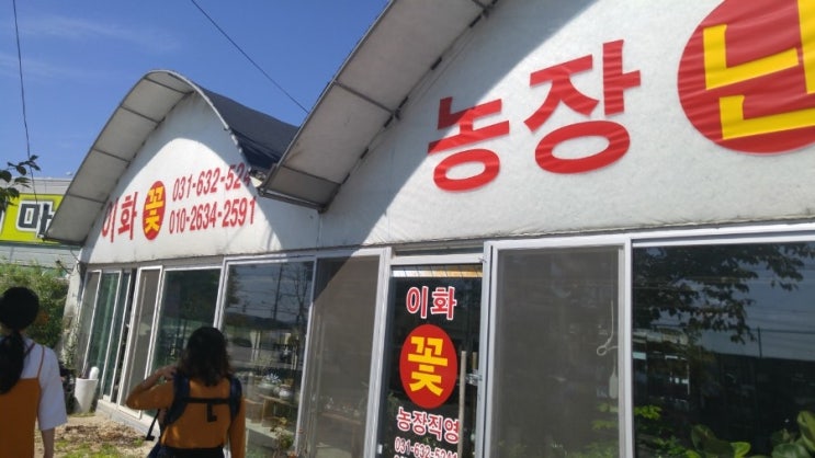 이화화훼 이미지