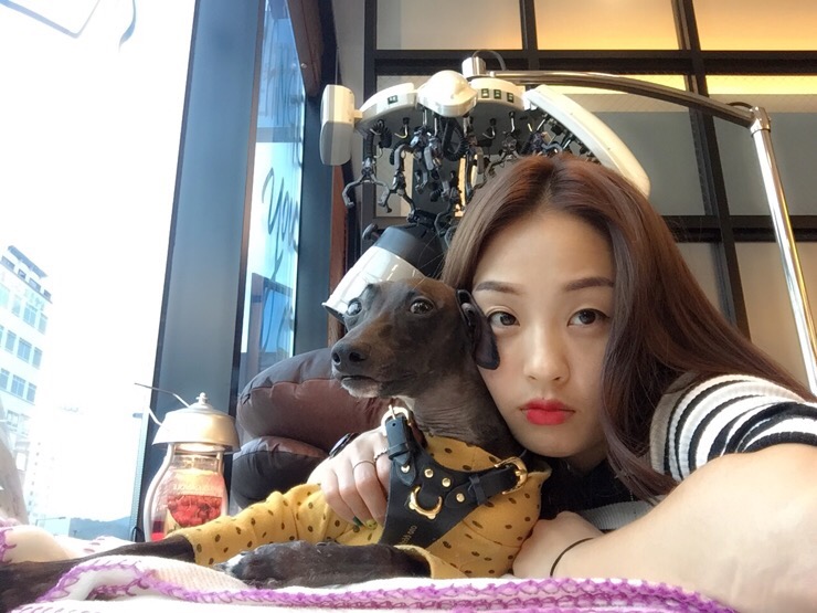 다온(DAON)헤어 이미지