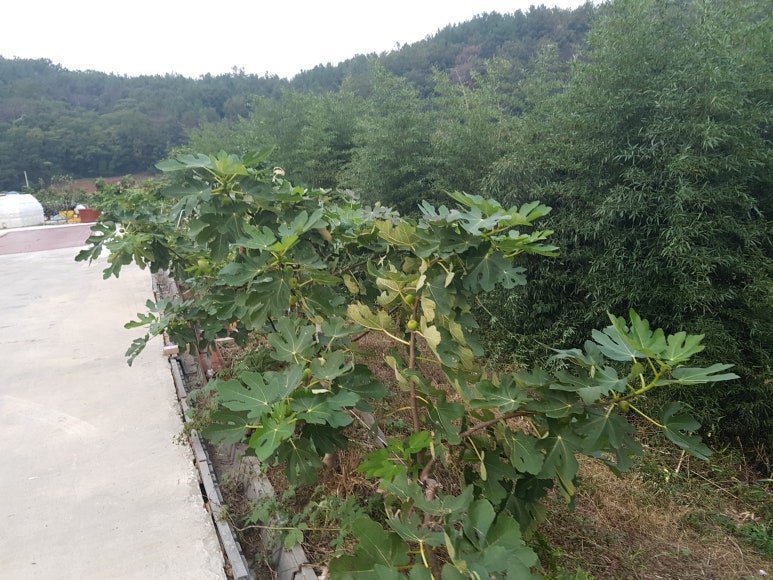 해남들영농조합법인 이미지