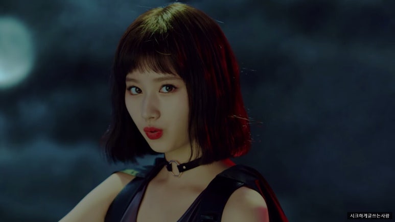 스텔라지 이미지