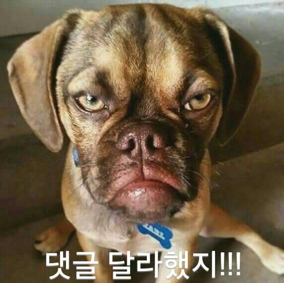 예궁 이미지