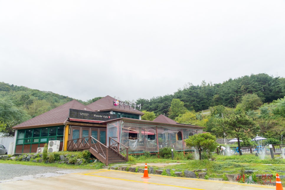 한채쭈꾸미 이미지