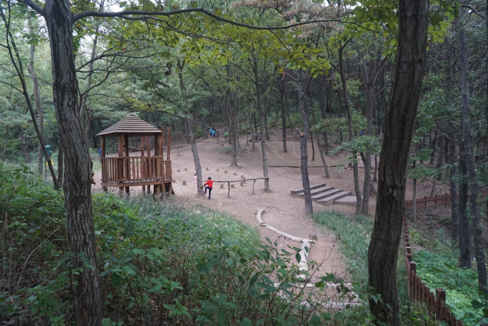 운암지 유아숲체험원 이미지