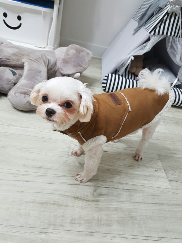동팔이네 이미지