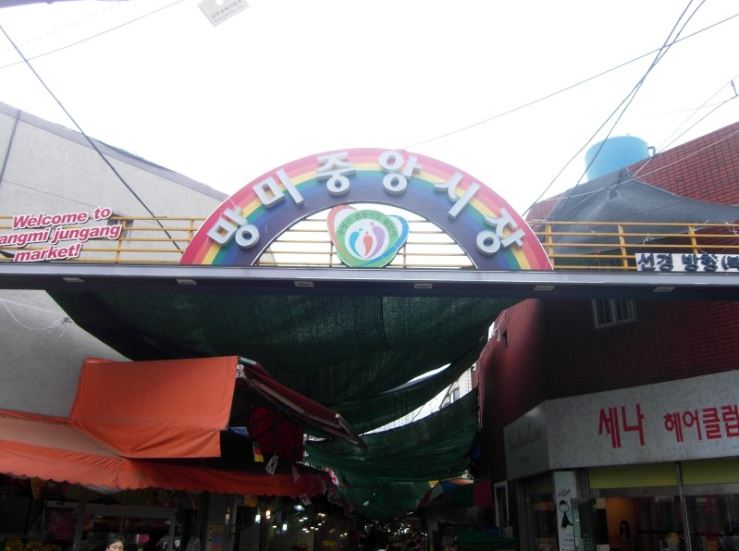 한양류마디병원 이미지