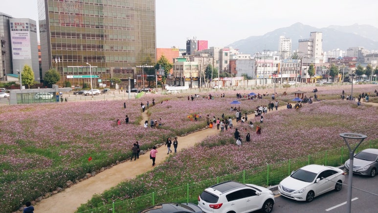 의정부동 신세계 백화점 앞 이미지