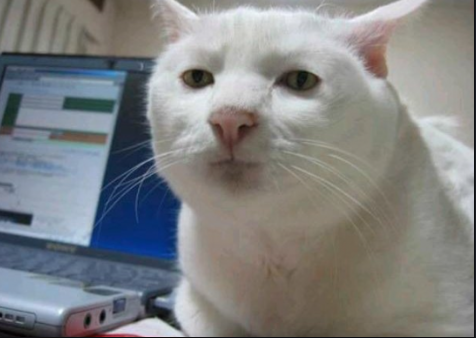 소영헤어 이미지