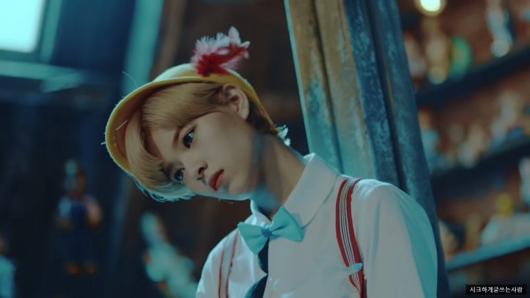 스텔라지 이미지