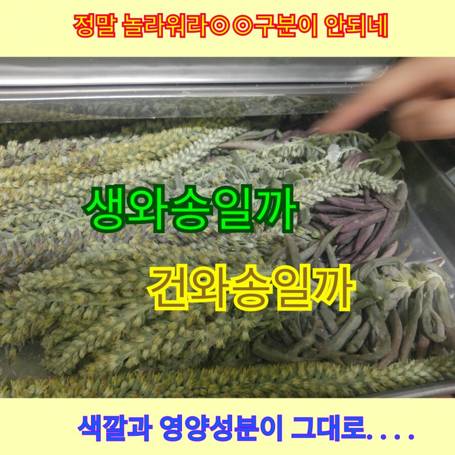 임실군농산물가공센터 이미지
