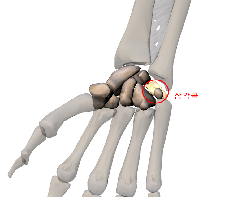 화목한의원 이미지