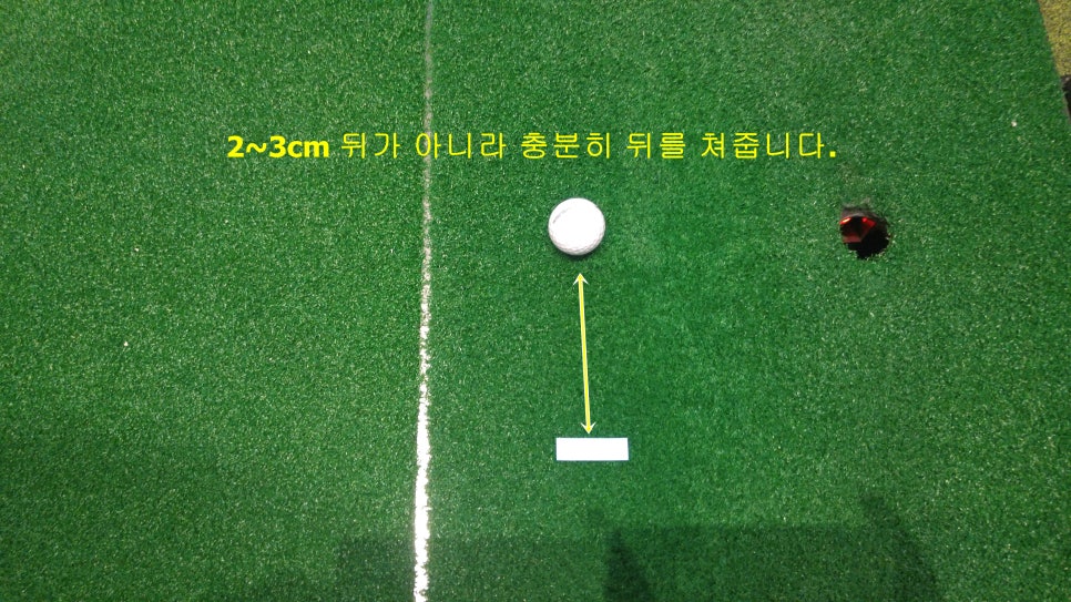 골프신지환 이미지