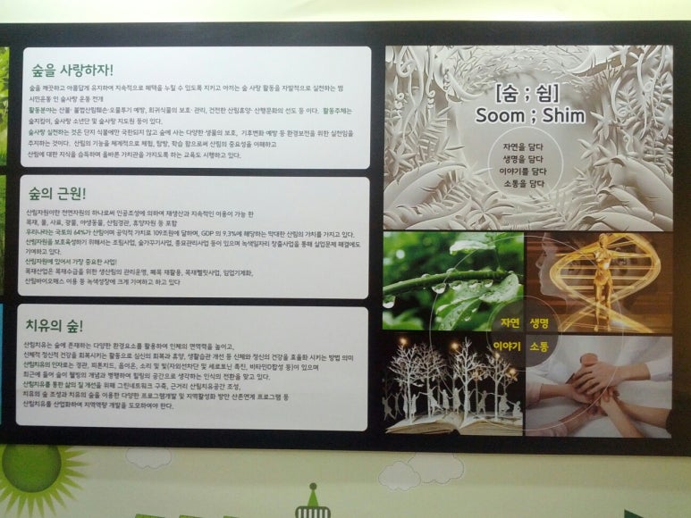 푸른미래컨설팅 이미지