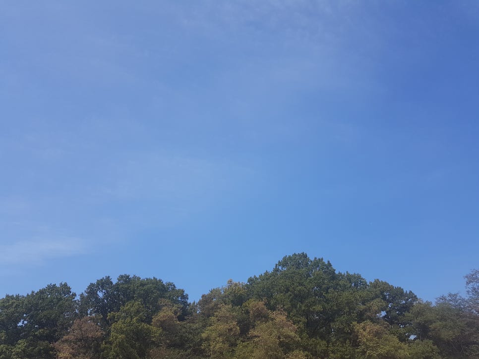 아세아전자 이미지