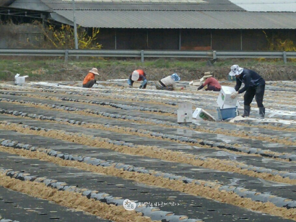 법인솔티 이미지