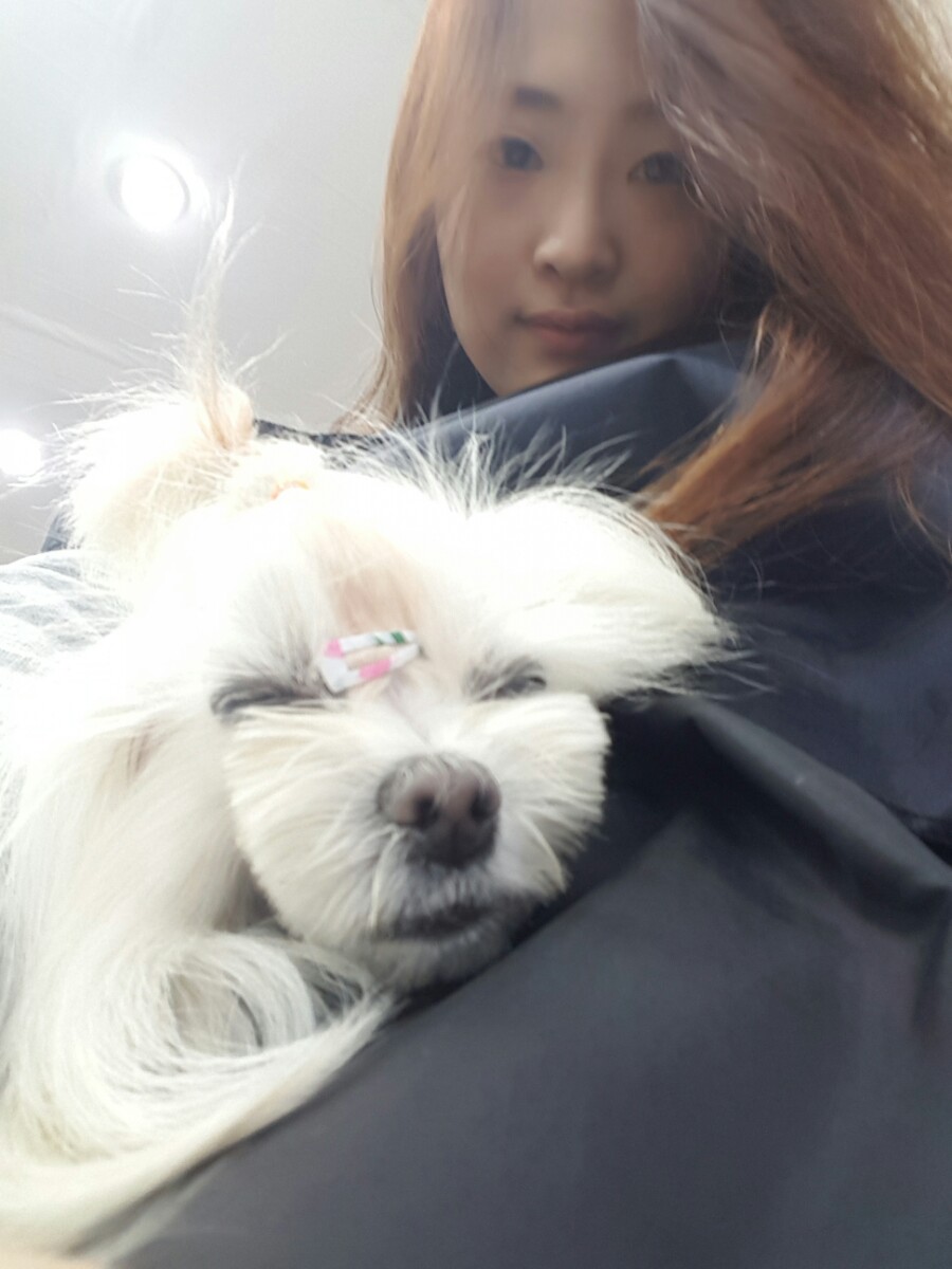 솜씨가구수선 이미지
