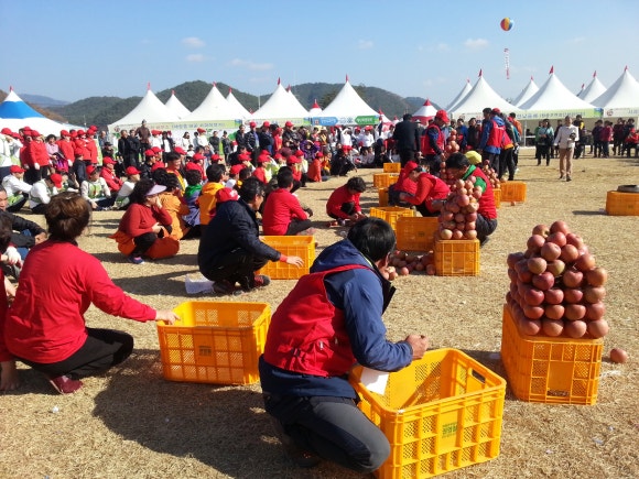 한국관광평가연구원 이미지