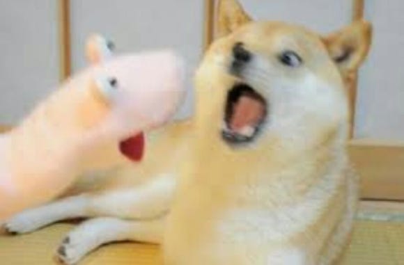 티라노곱창 이미지
