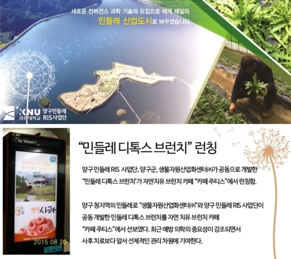민들레빵 이미지