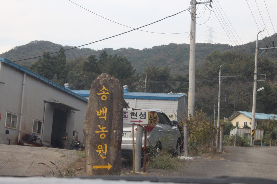 송백농원캠핑장 이미지