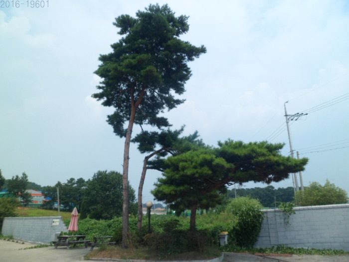 화성주유소 이미지