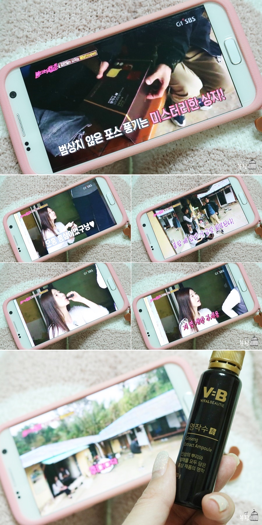 맛있게불타는청춘 이미지