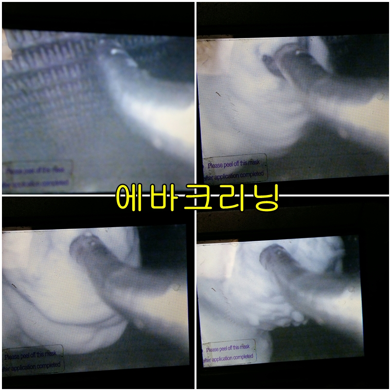 더월드카크리닝 이미지