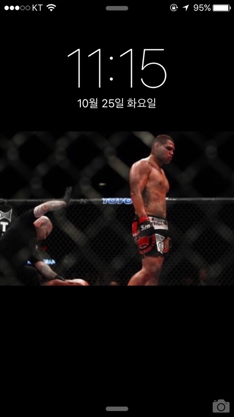 옵티멈피티 이미지