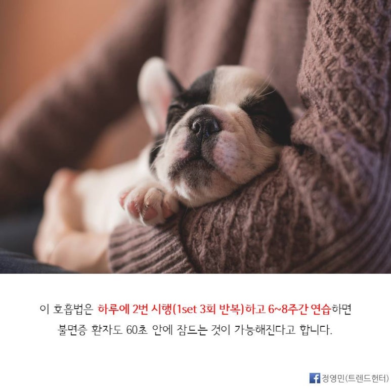 꿀잠 이미지