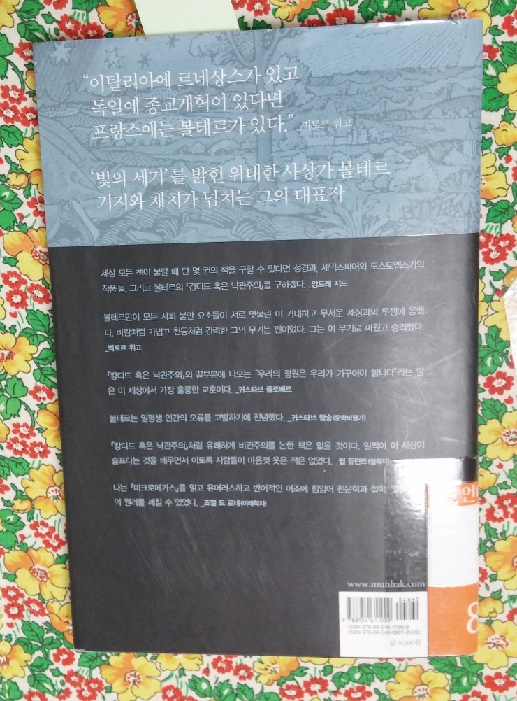 메가스 이미지