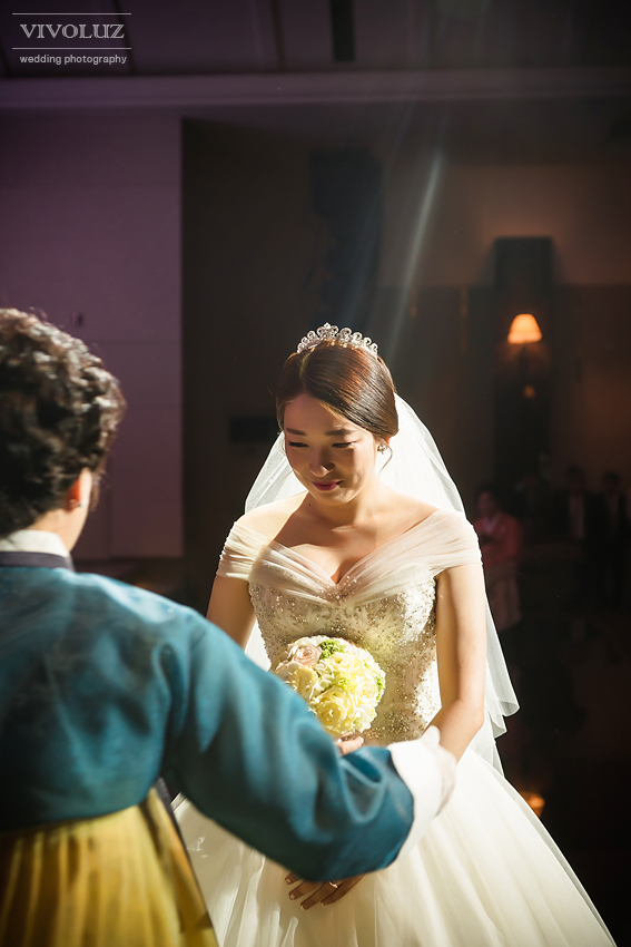 비보루즈 이미지