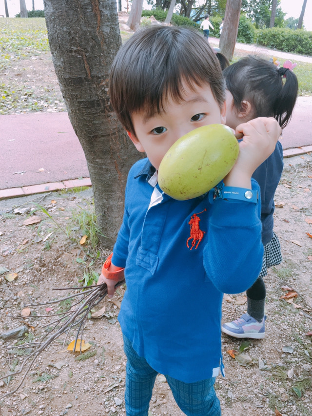 모과아래 이미지