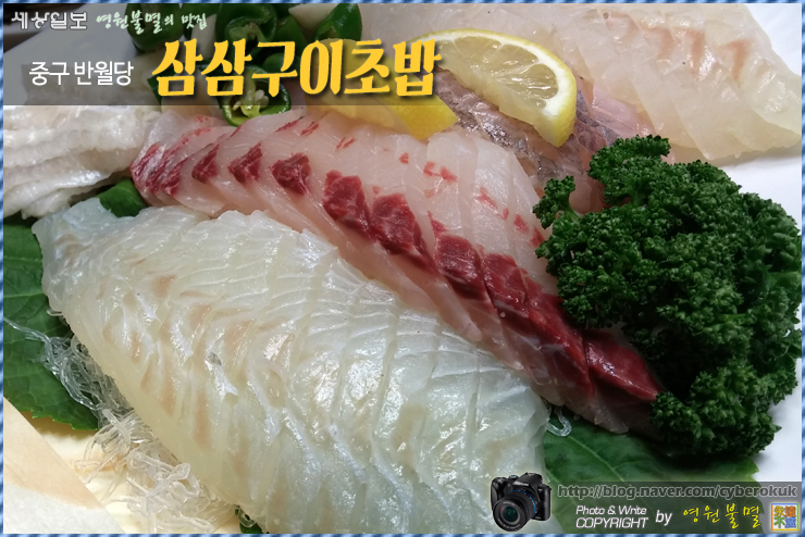 삼삼초밥 이미지