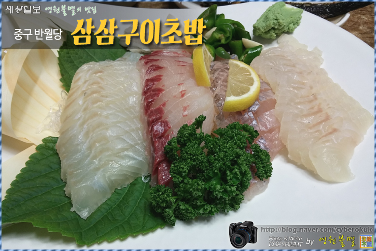 삼삼초밥 이미지
