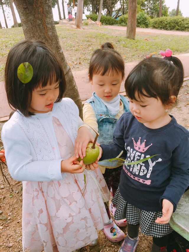 모과아래 이미지