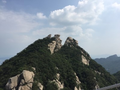 새마을두부공장 이미지