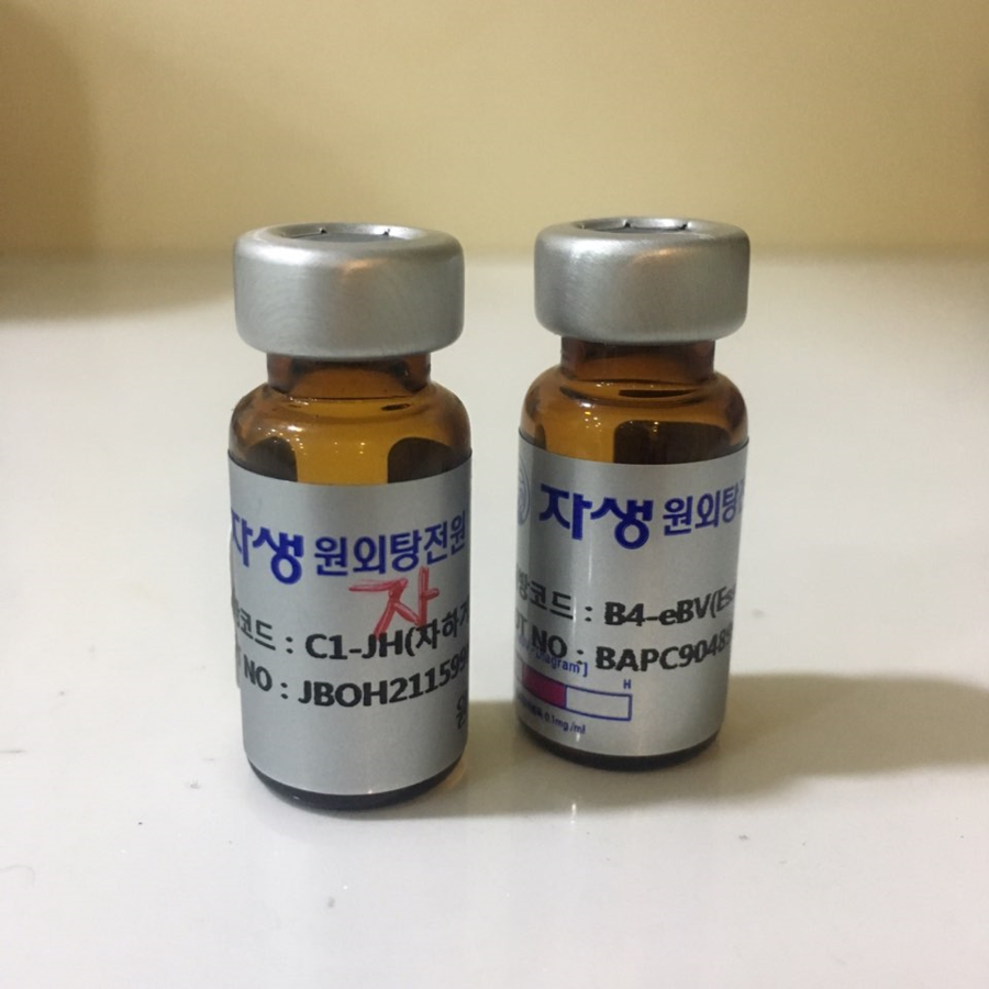 싱싱 이미지