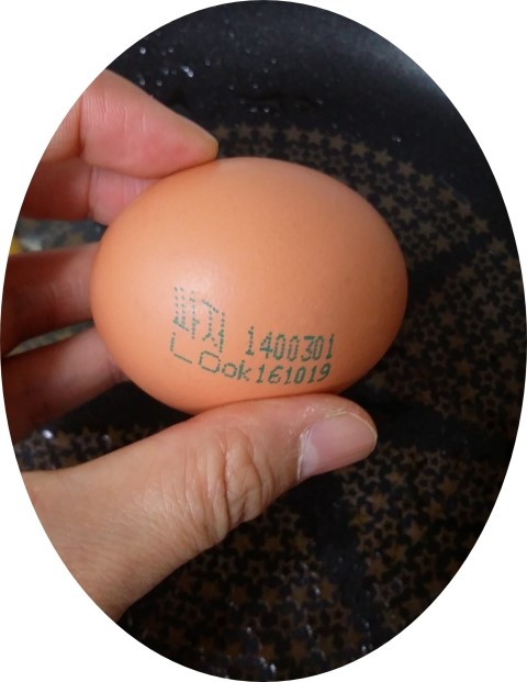 오경(젤란) 이미지