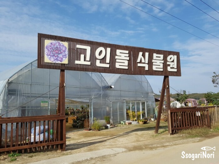 고인돌식물원 이미지