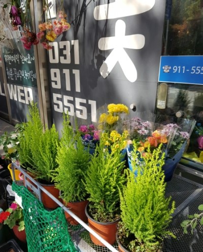 온리원유 이미지