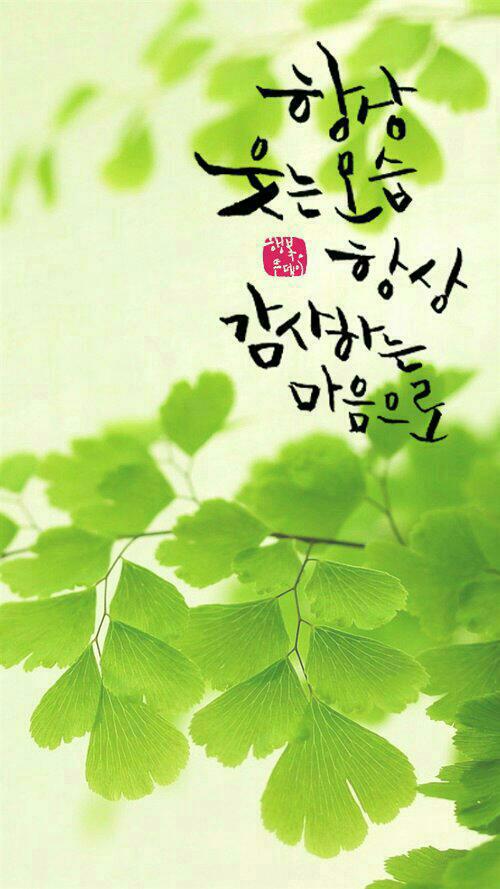 리나뷰티 이미지