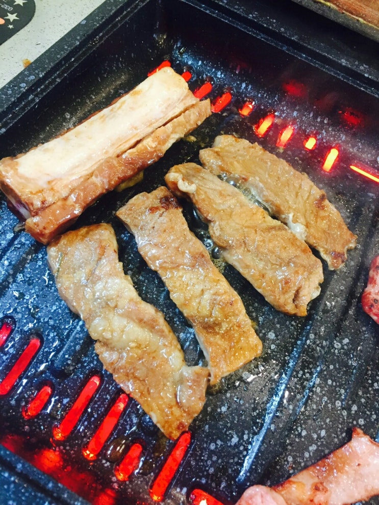 토담오리 이미지