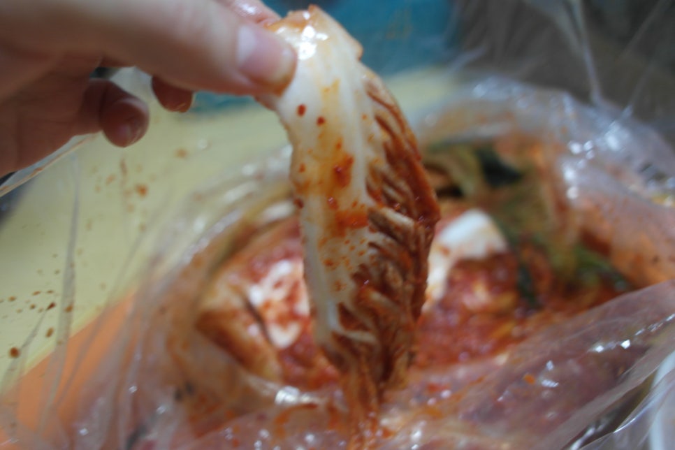 (주)해도지 이미지